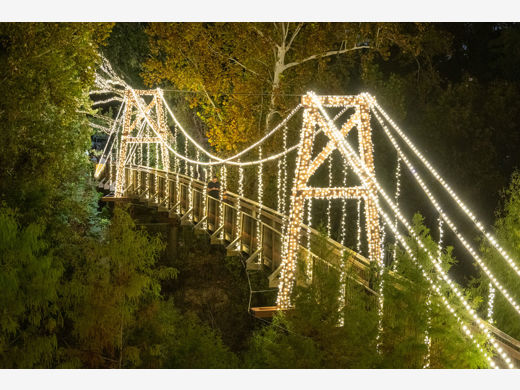 Bayou Bend event at night